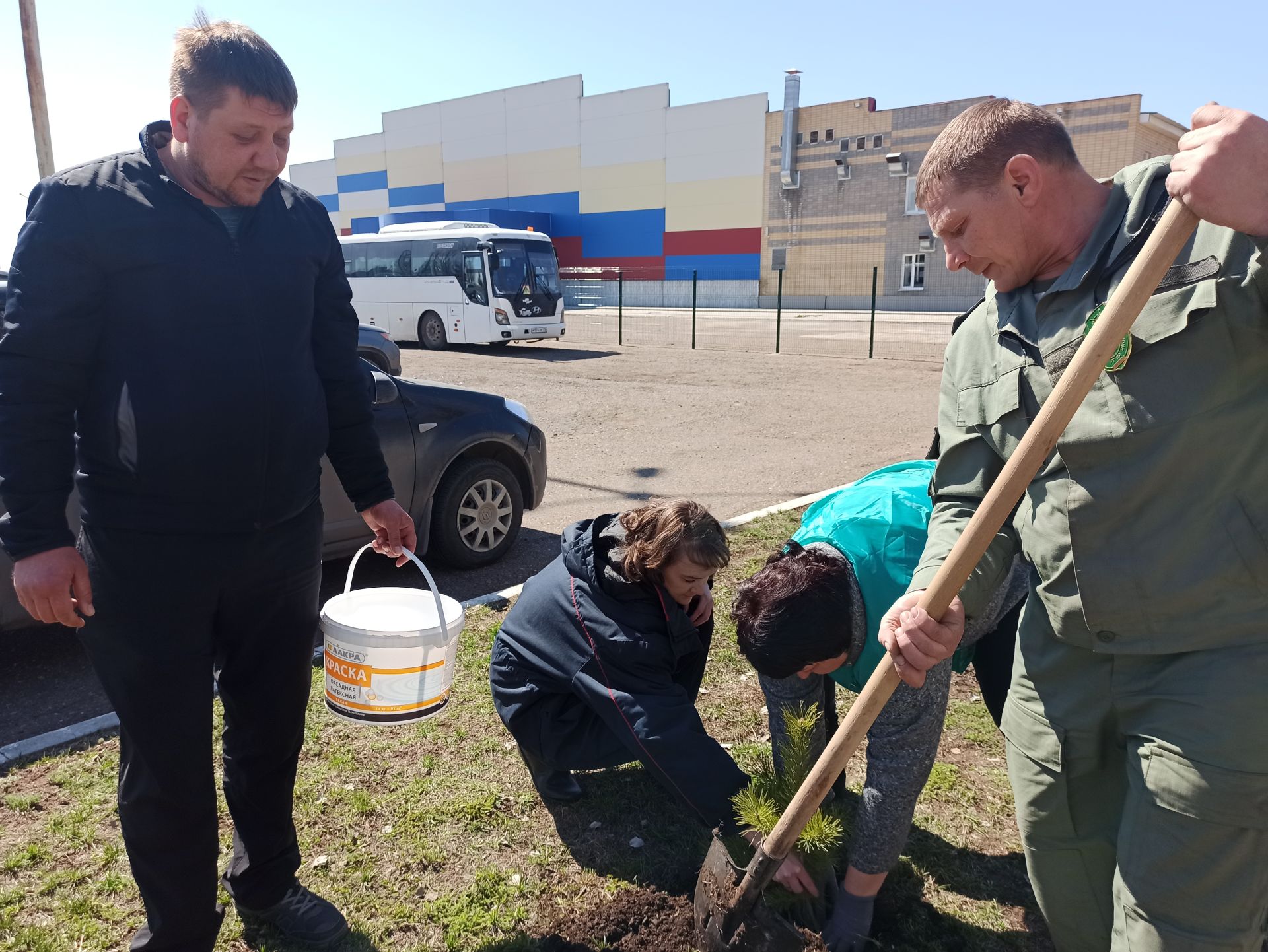 В день рождения природного заказника «Чистые луга» чистопольцы посадили более 30 молодых сосен