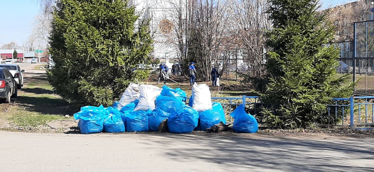 Школьники, студенты, сотрудники предприятий и организаций присоединились к Всероссийскому субботнику