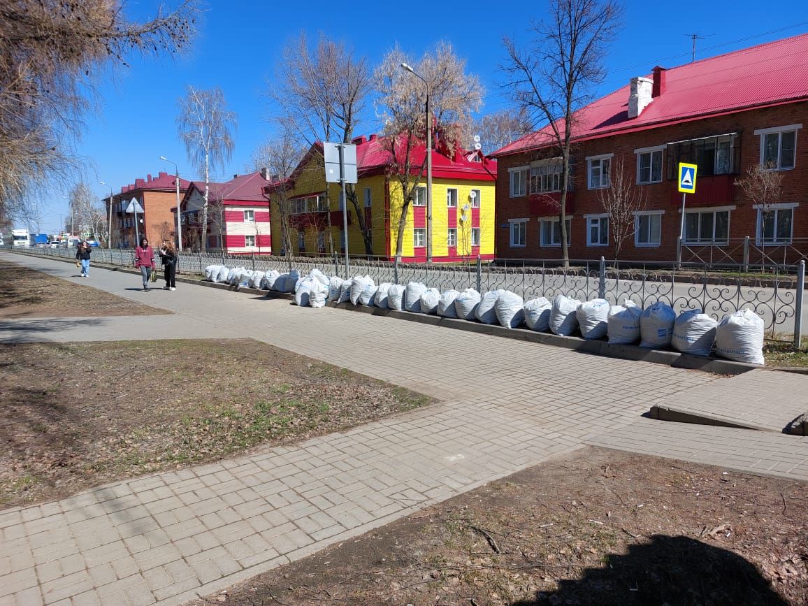 Школьники, студенты, сотрудники предприятий и организаций присоединились к Всероссийскому субботнику