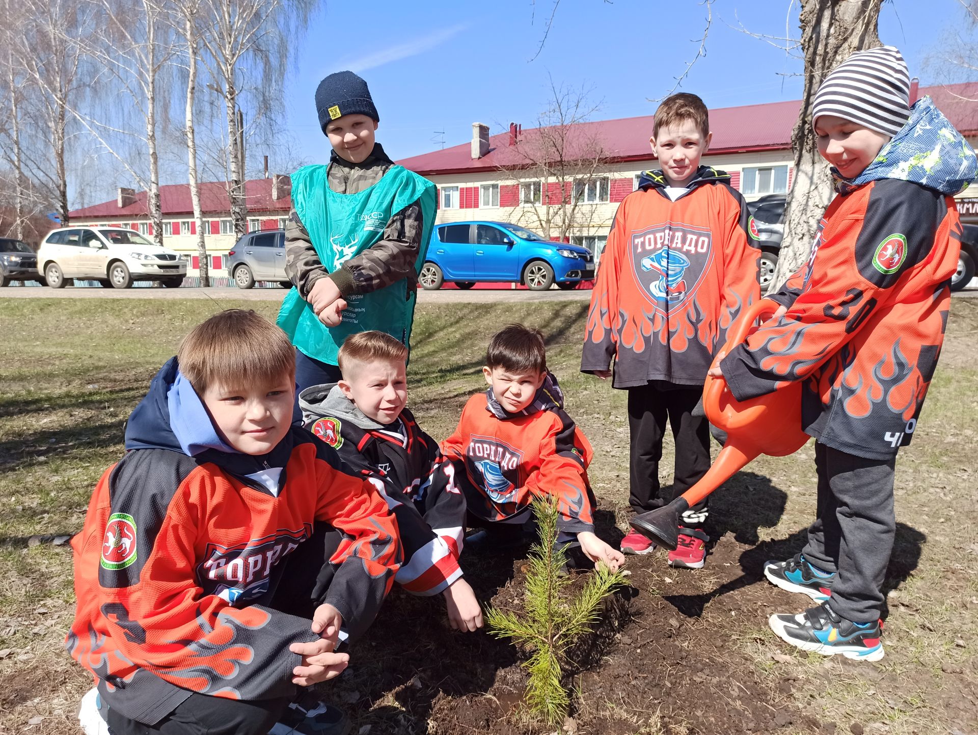 В день рождения природного заказника «Чистые луга» чистопольцы посадили более 30 молодых сосен