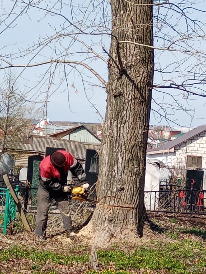 В Чистополе провели субботник на мусульманском кладбище