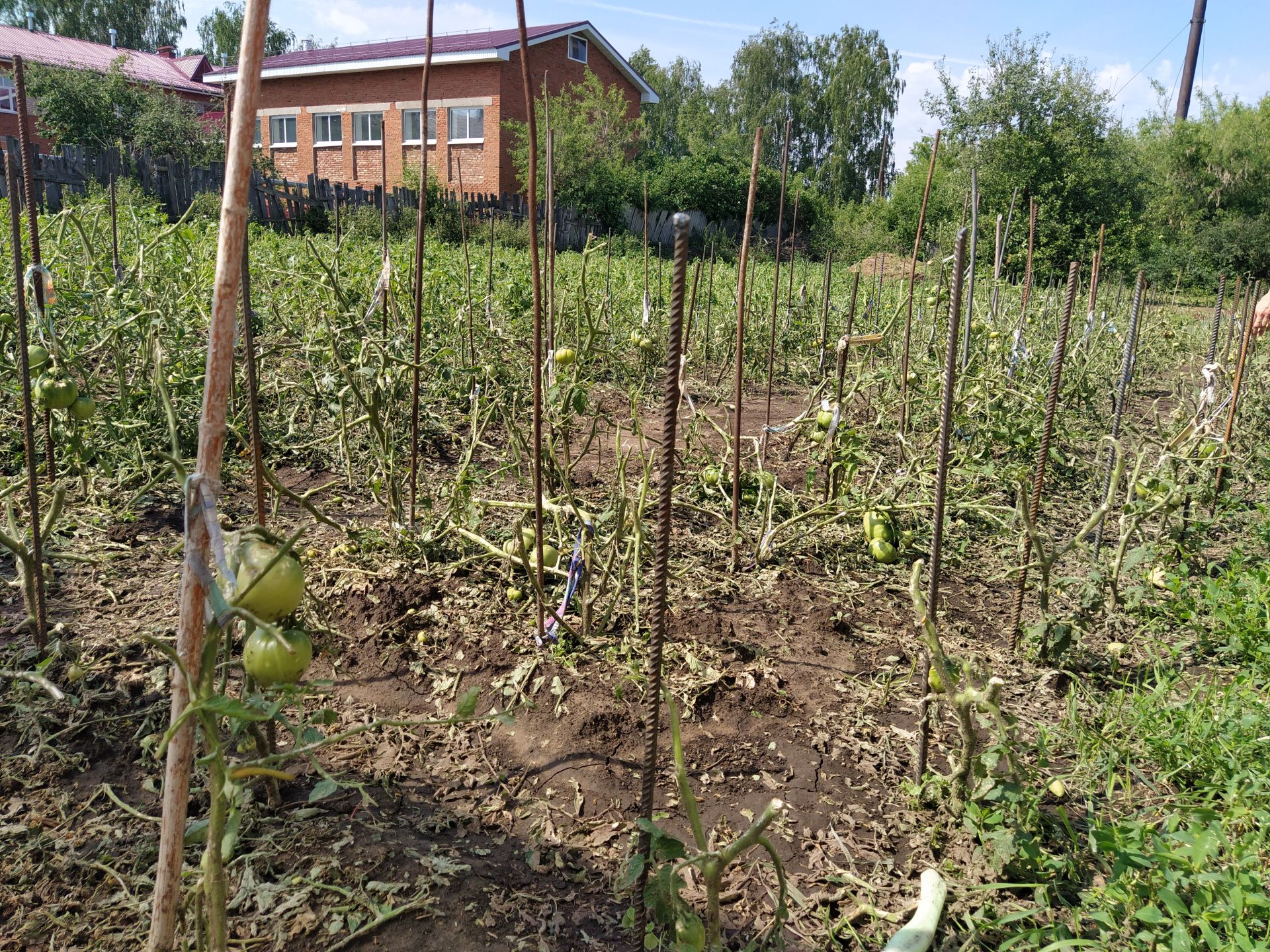 Жители села Кубассы показали, что стало с их огородом после града