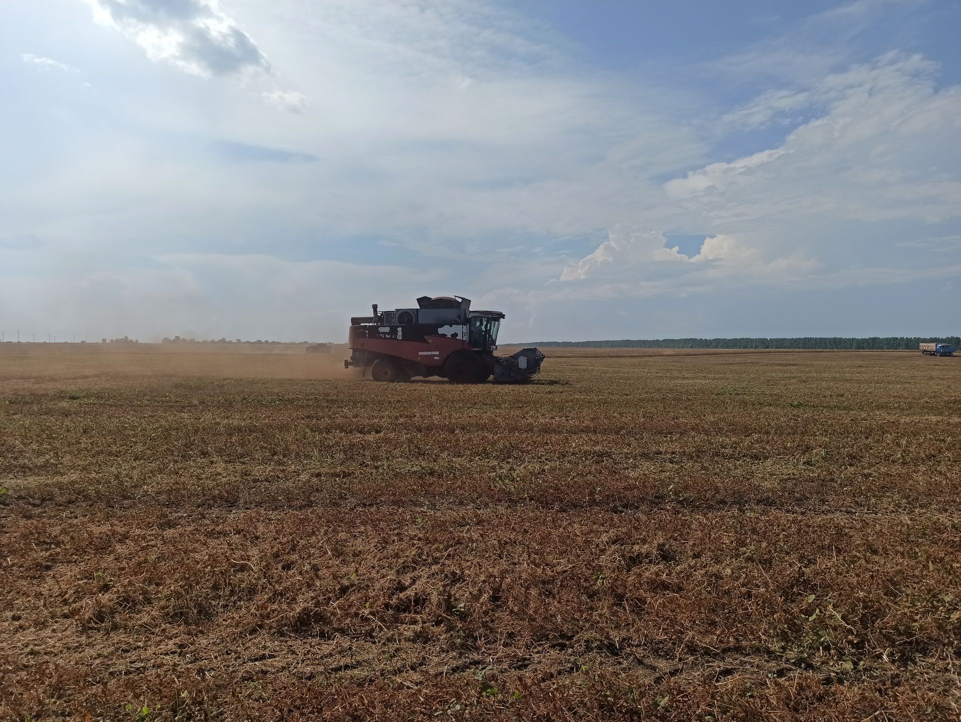 На полях Чистопольского района в разгаре уборочная страда (фоторепортаж)