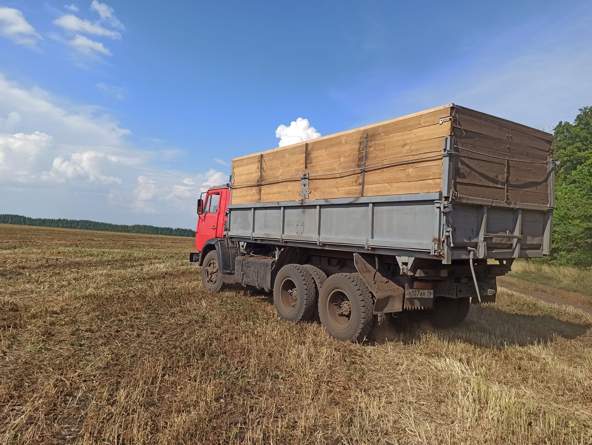 На полях Чистопольского района в разгаре уборочная страда (фоторепортаж)