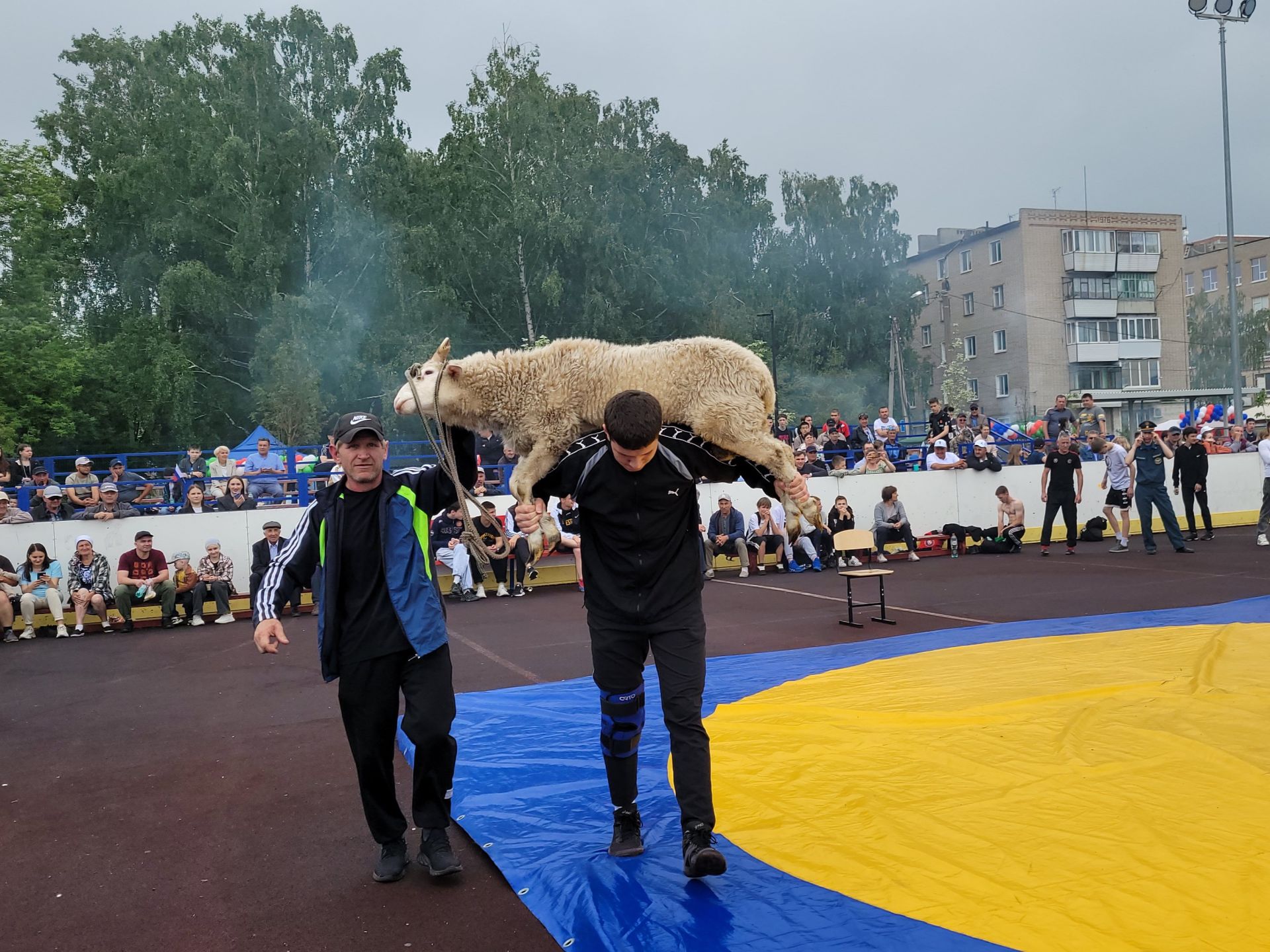 В Чистополе празднуют Сабантуй-2024