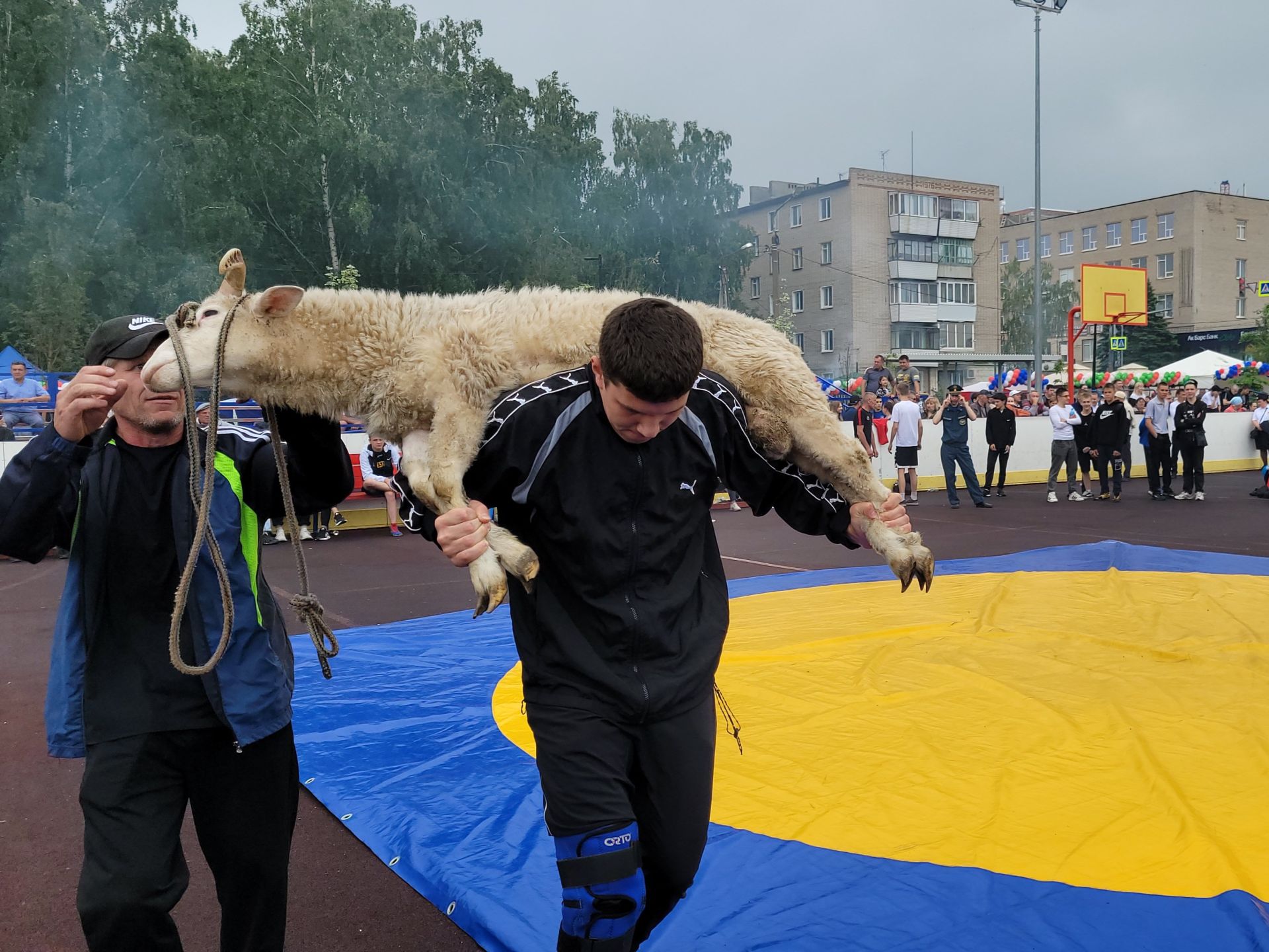 В Чистополе празднуют Сабантуй-2024