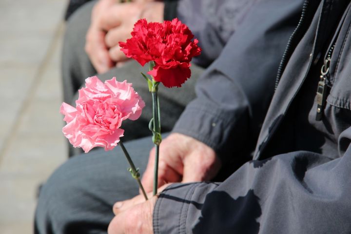 Чистопольцы смогут стать участниками уникального проекта