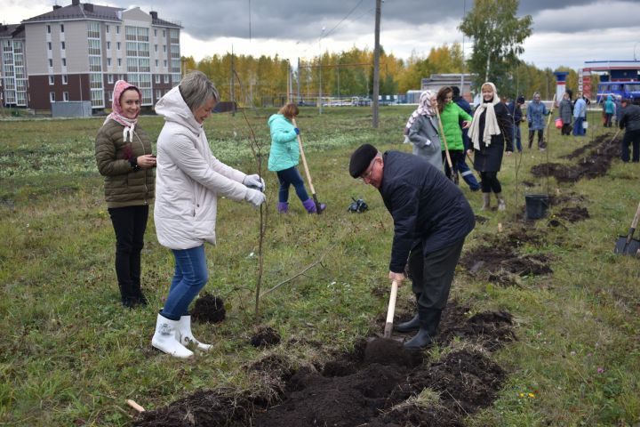 Чистопольцы приняли участие в посадке 200 саженцев (фоторепортаж)