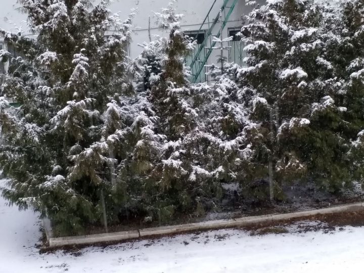 В чистопольскую осень можно было влюбиться