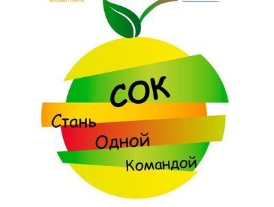 Чистопольские лицеисты участвовали в заочной школе «Стань Одной Командой С.О.К»