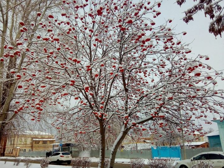 Погода в Чистополе на 29 ноября