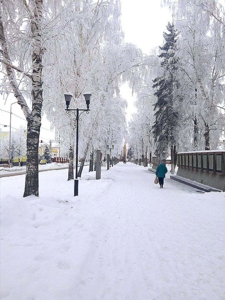 Сегодня, 21 декабря - день зимнего солнцестояния. Приметы, пословицы