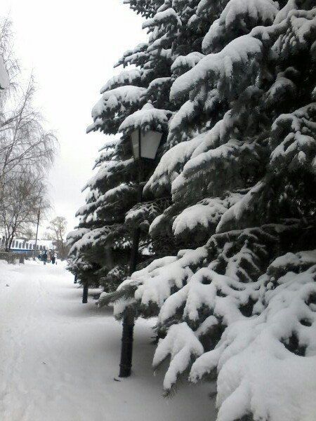 Погода в Чистополе на неделю