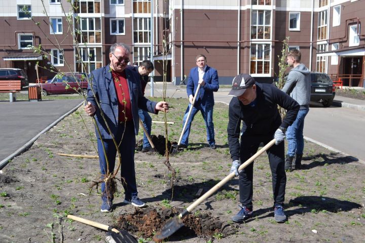 В новом микрорайоне Чистополя посадили деревья