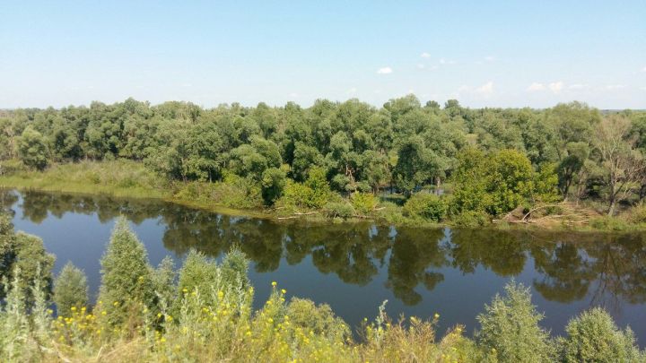 Синоптики рассказали о погоде на лето