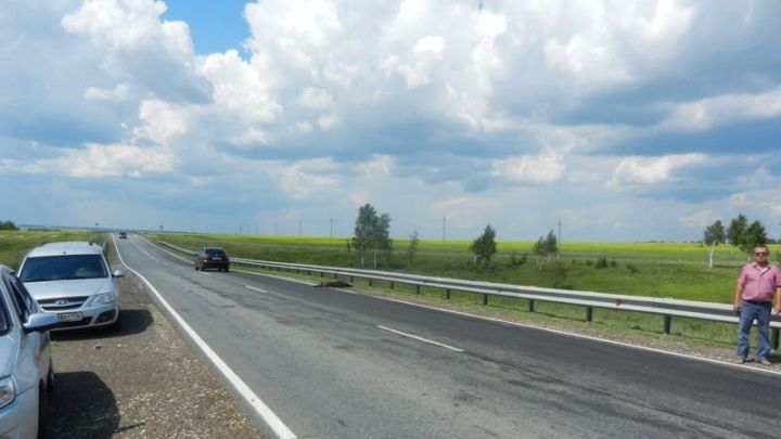 В Чистопольском районе сбитого автомобилем кабана проверили на наличие вируса АЧС&nbsp;