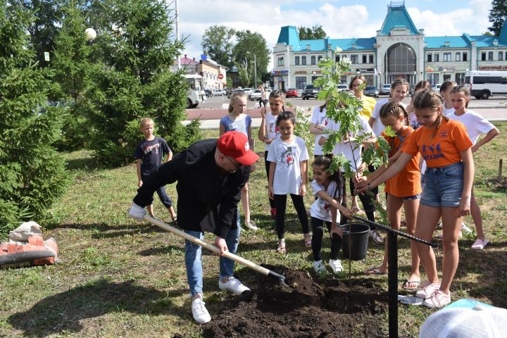 "Танцевальная аллея" в Чистополе пополнилась новыми саженцами (фоторепортаж)