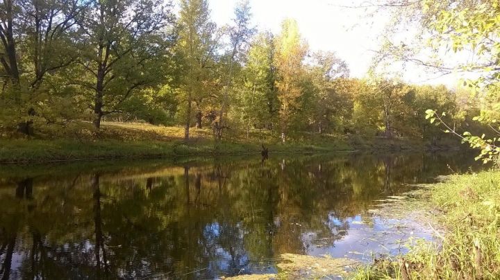 Июль, щедрое на ласку солнце... Лирические строчки чистопольского поэта созвучны нашему настроению