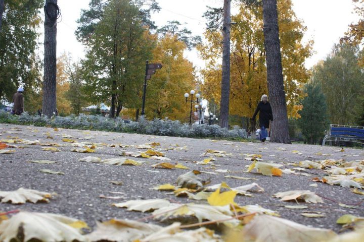 Какие мероприятия ожидают чистопольцев в эти выходные