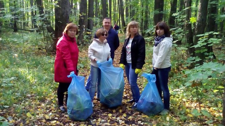 Лесные массивы Чистополя привели в порядок