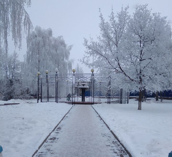 При какой температуре на улице  уроки в школах отменяются