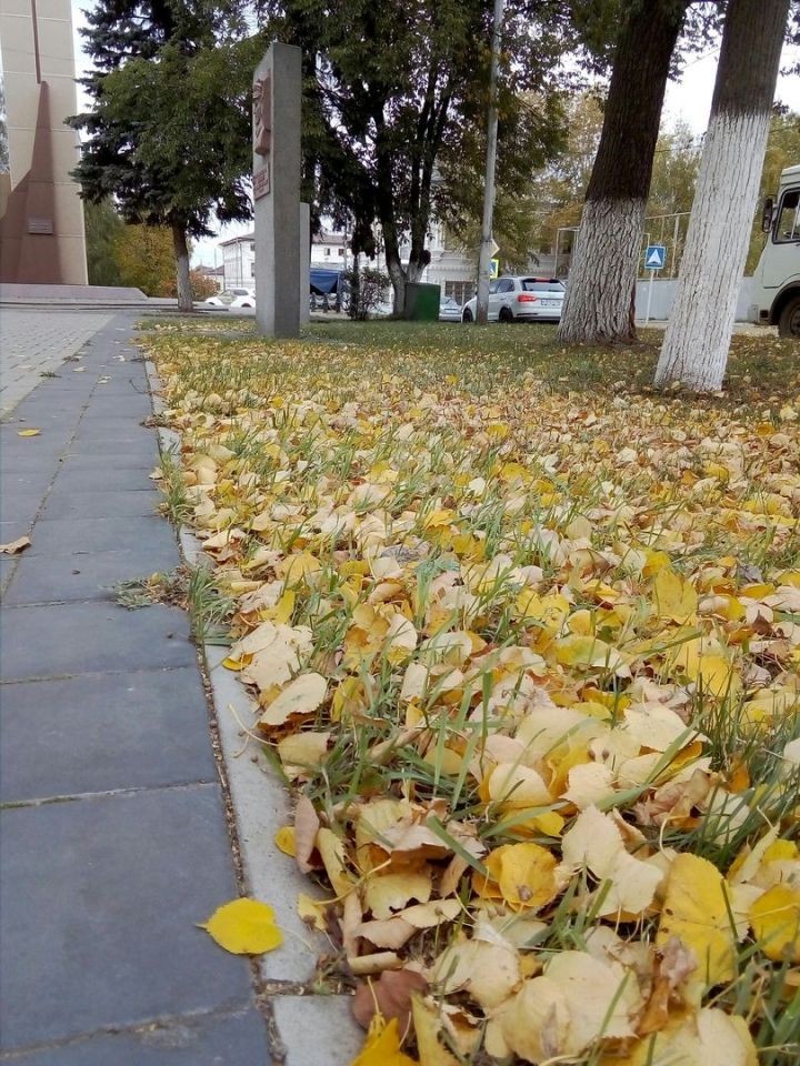 По сегодняшнему дню можно определить, какая будет зима