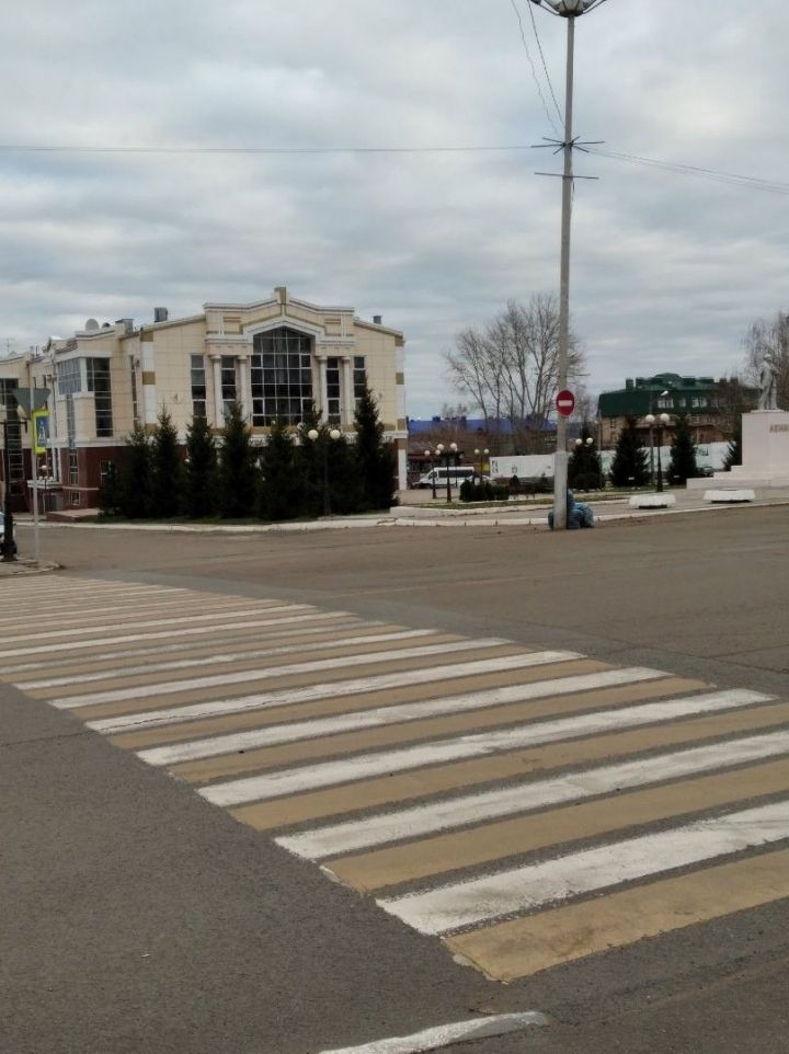 В поле зрения – безопасность пешеходов! В Чистополе пройдет профилактическое мероприятие «Тоннель»