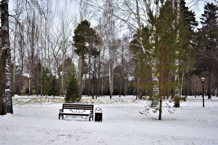 В последнюю неделю уходящего года россиян ждут новые погодные аномалии