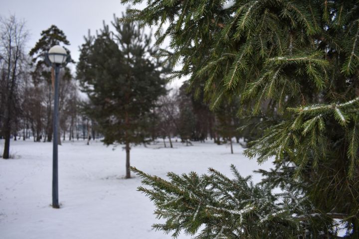 Прекрасное начало зимы в Чистополе (ФОТОРЕПОРТАЖ)