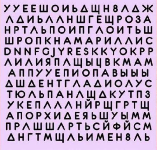 Тест личности: Название какого цветка вы увидели первым?