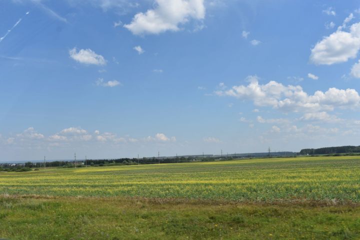 Погода в Чистополе на завтра