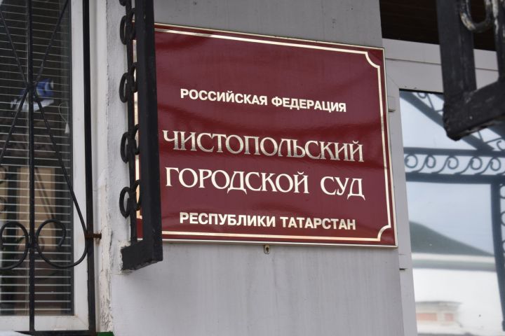 Контрафактные «Барбоскины» подставили чистопольского предпринимателя