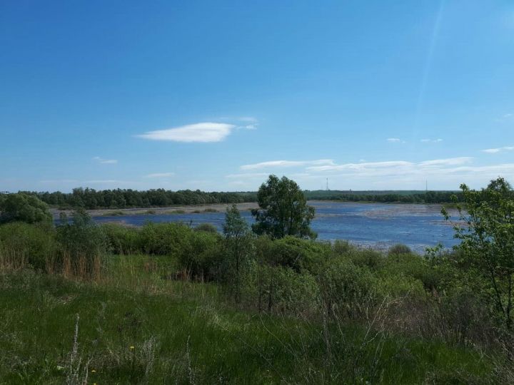 По сегодняшней погоде можно судить о предстоящей осени