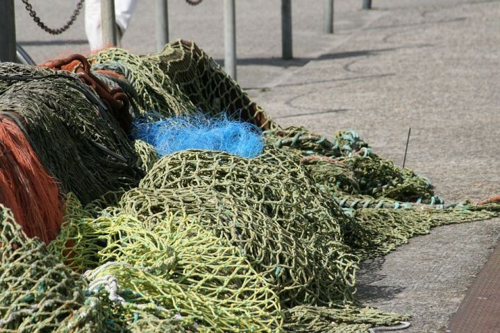 Чистопольцев осудили за браконьерство