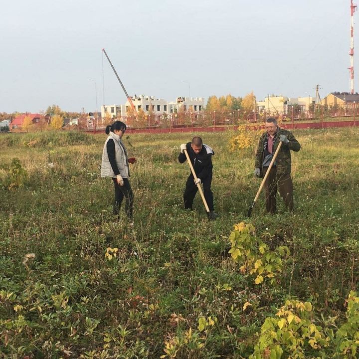 В честь 100-летия ТАССР в Чистополе посадили березы