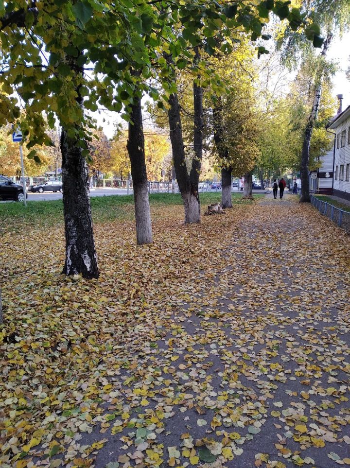 День Иоанна Богослова: что нужно делать в этот день