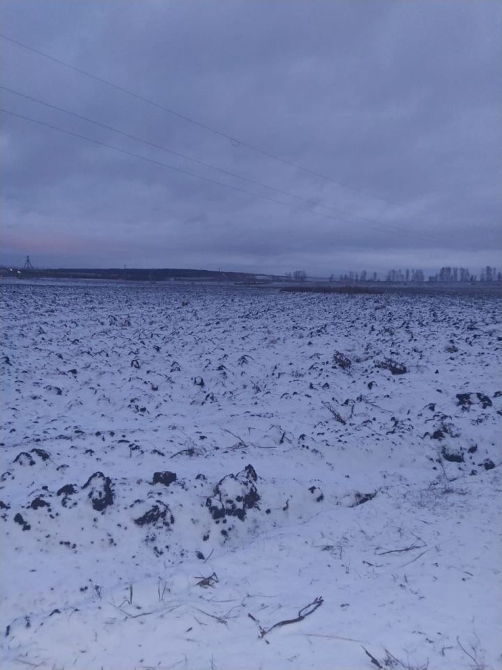 Погода в Чистополе на завтра: синоптики предупреждают об ухудшении метеорологических условий