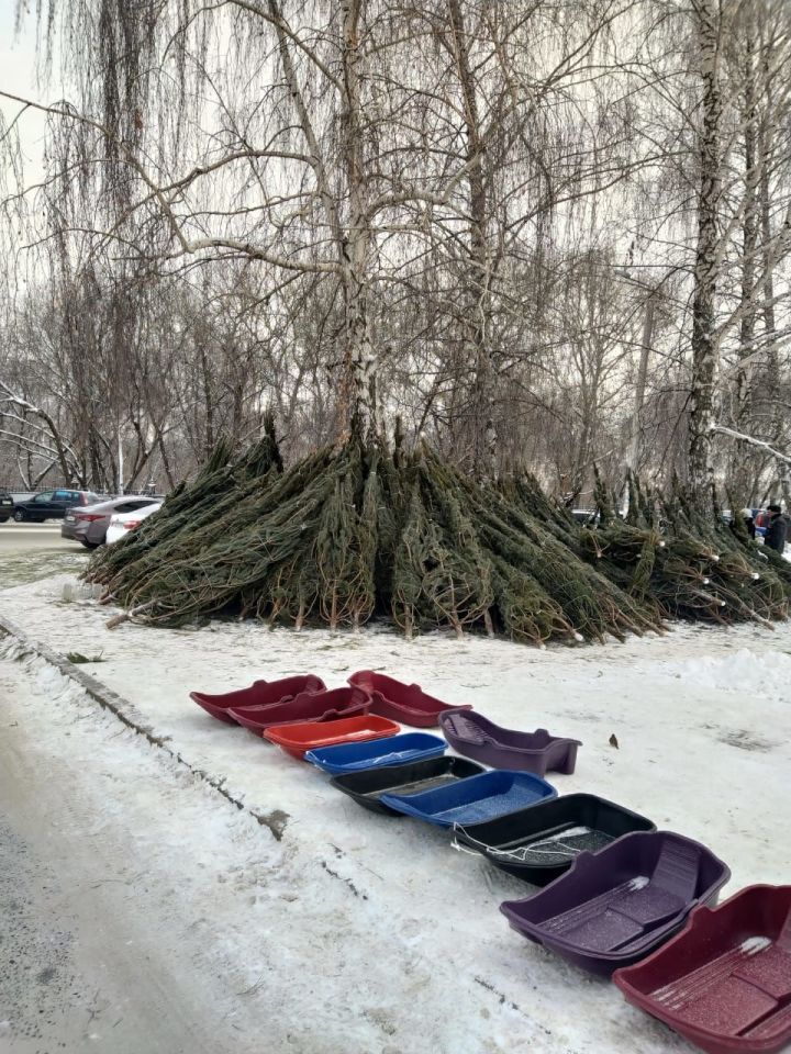 В Чистополе заработали елочные базары