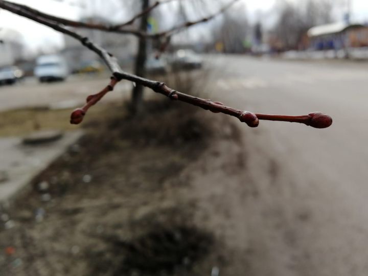 Сильный снег, ветер и гололед прогнозируют в Чистополе