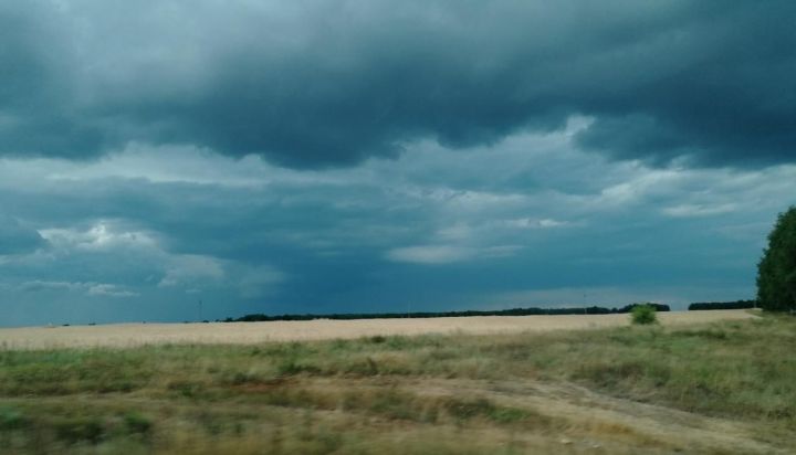 Ночью в Татарстане прогнозируют грозу с сильным ветром