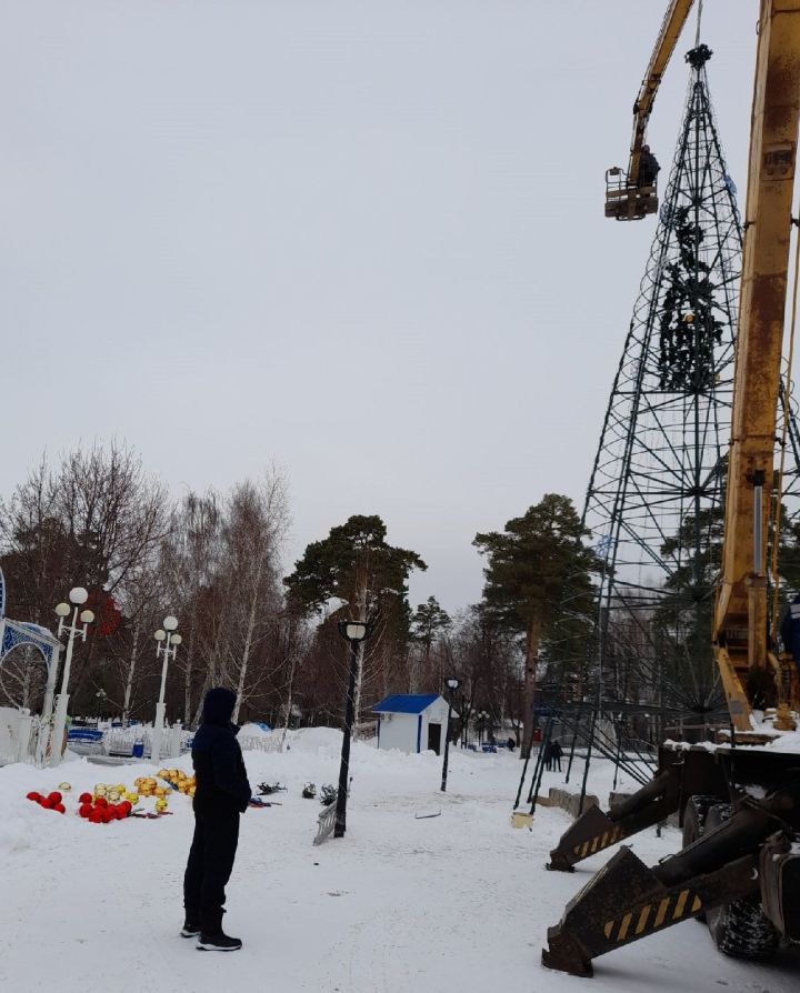 В Чистополе демонтировали самую большую городскую елку