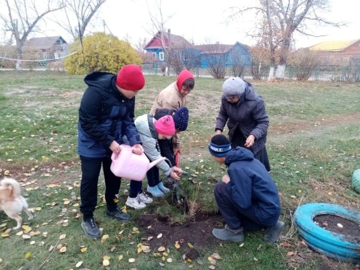 В чистопольском селе проходила экологическая акция