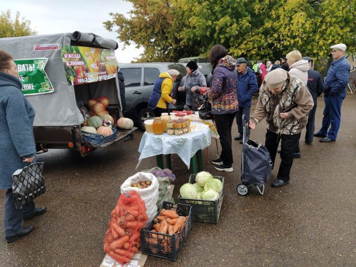 Сельхозярмарки пройдут в Чистополе завтра на  трех рынках