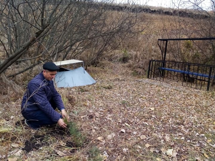 На территории родника в одном из сел Чистопольского района посадили деревья