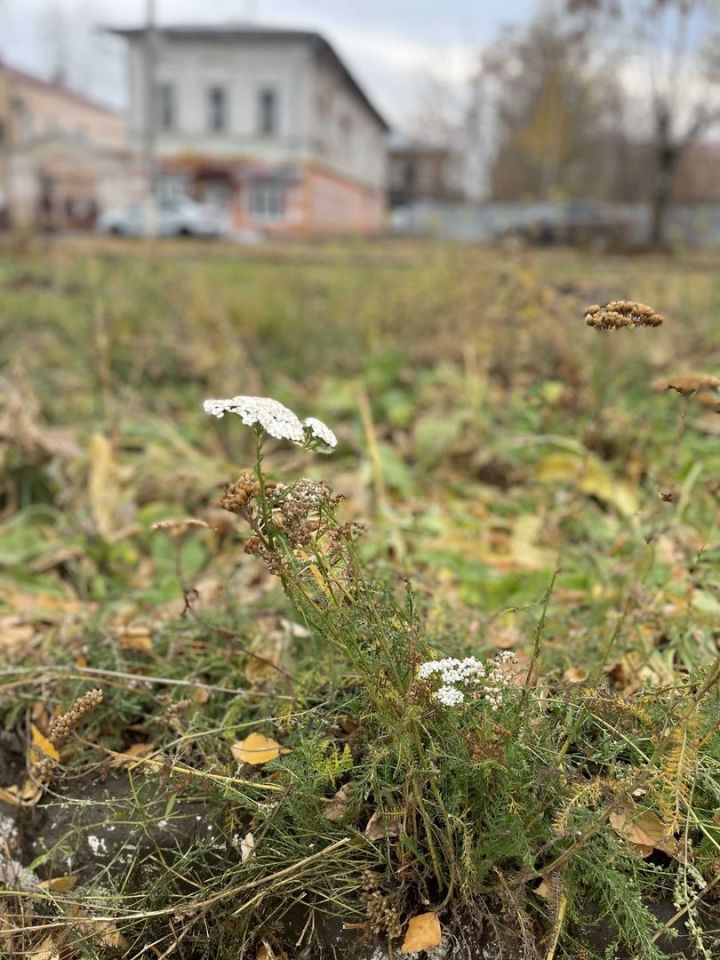 28 октября: Чем знаменателен день