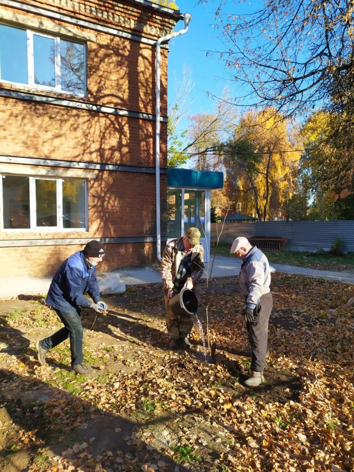 Чистопольцы посадили молодые сосны и рябины