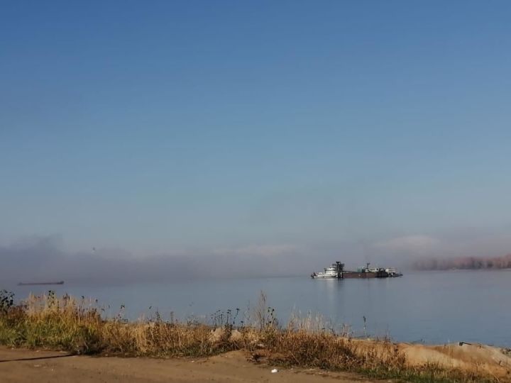 В водоемы Татарстана выпущено 8 тысяч мальков сазана