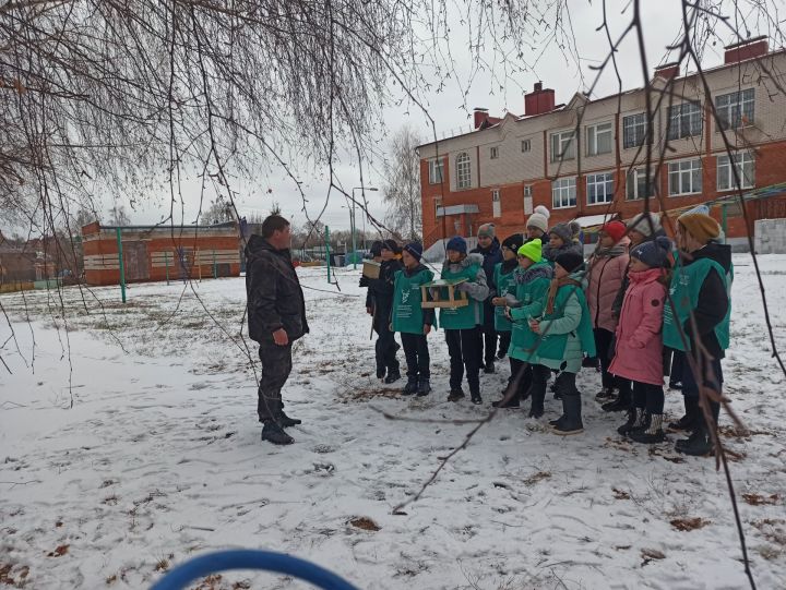 Юные чистопольцы обустроили во дворе школы «столовую» для птиц (фоторепортаж)