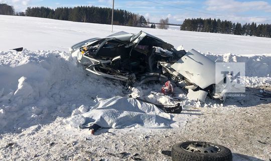 В Татарстане на трассе погибла женщина с ребенком