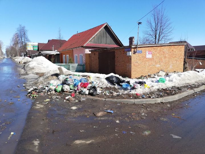 Проблему незаконных свалок помогут решить фотоловушки